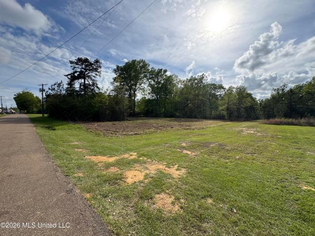 Land for sale in Bogue Chitto, Mississippi