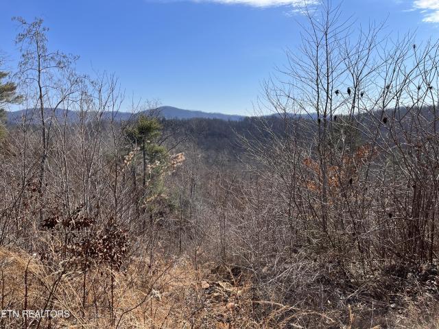 Farm for sale in Tennessee