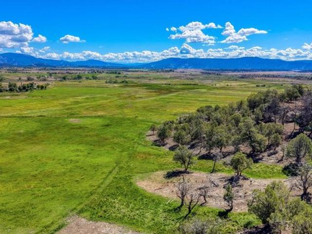 Farm for sale in La Plata, Colorado