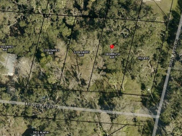 Land for sale in Brandon, Florida
