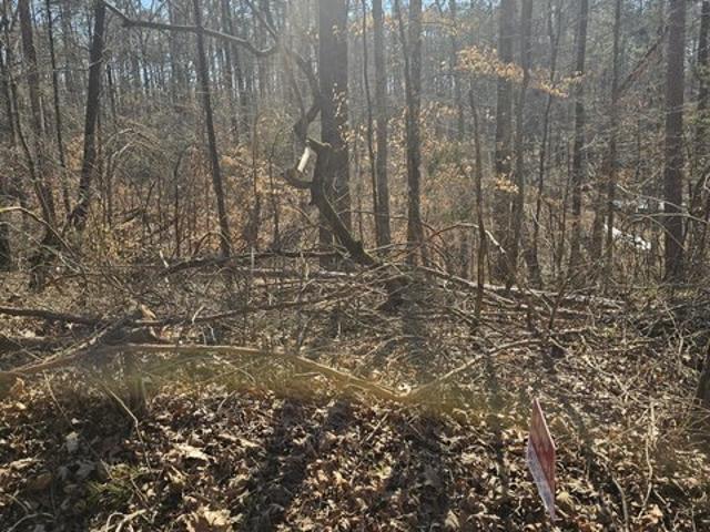 Land for sale in Myrtle, Mississippi