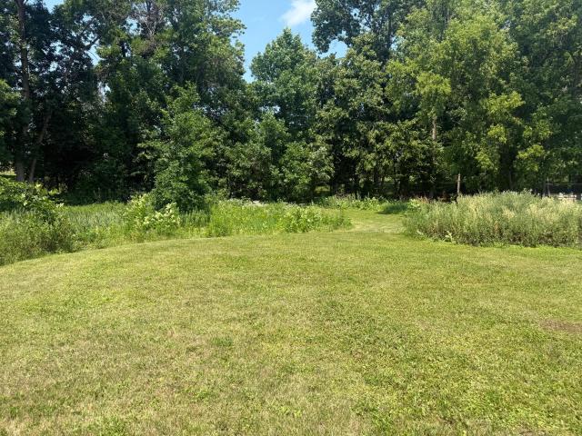 Land for sale in Wright, Minnesota