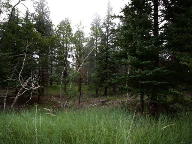 Land for sale in Deadwood, South Dakota