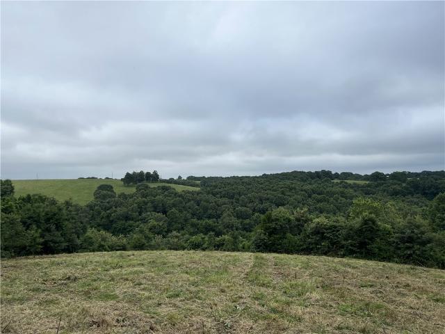 Land for sale in Ark