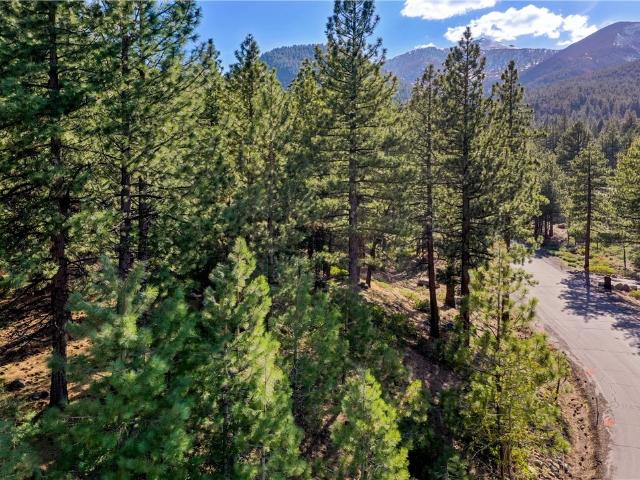 Land for sale in Reno, Nevada
