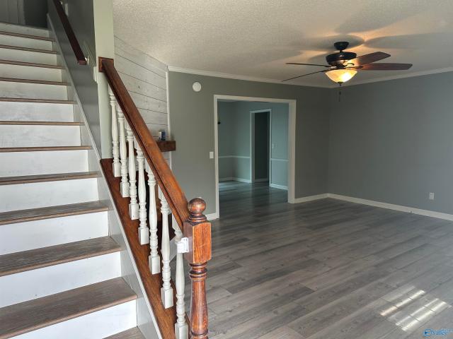 House for sale in Albertville, Marshall County