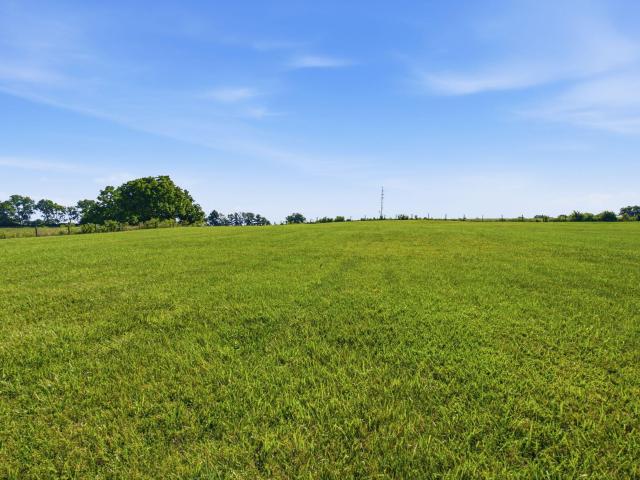 Land for sale in Cynthiana, Kentucky