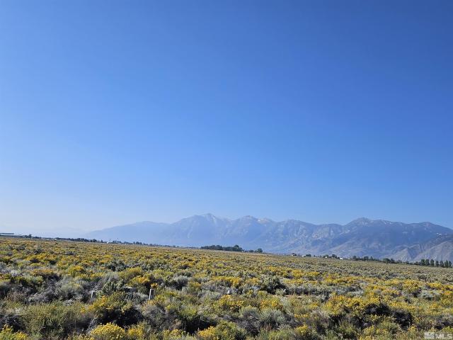 Land for sale in Nevada