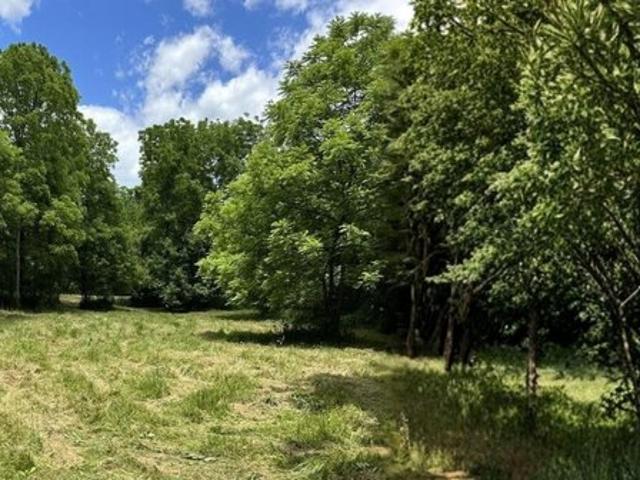 Land for sale in Williamstown, Kentucky