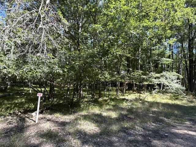Land for sale in Stanwood, Michigan