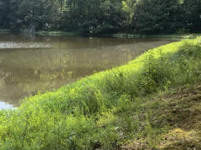Land for sale in Fairhaven, Olive Branch