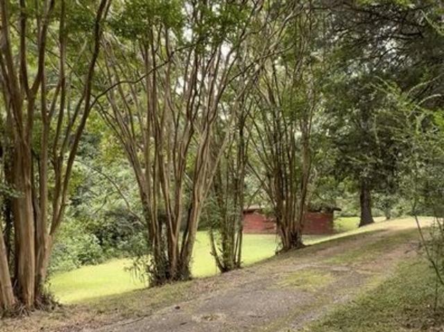 Land for sale in Mineral Wells, Olive Branch