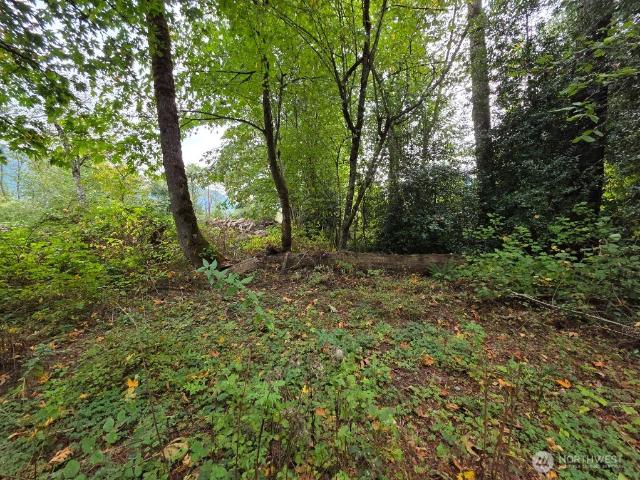 Land for sale in Gold Bar, Washington