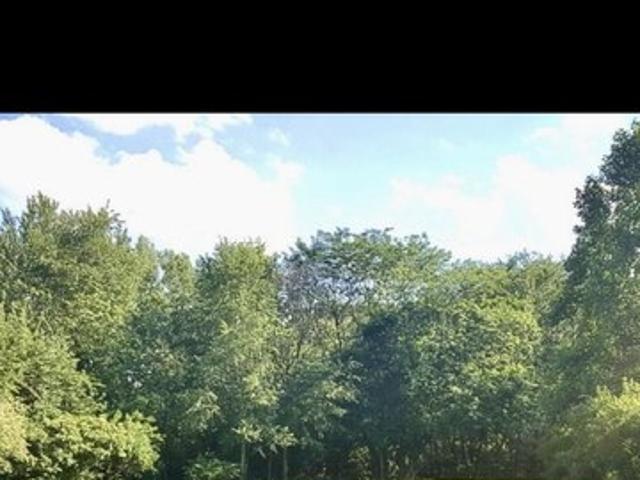 Land for sale in Marshall, Illinois