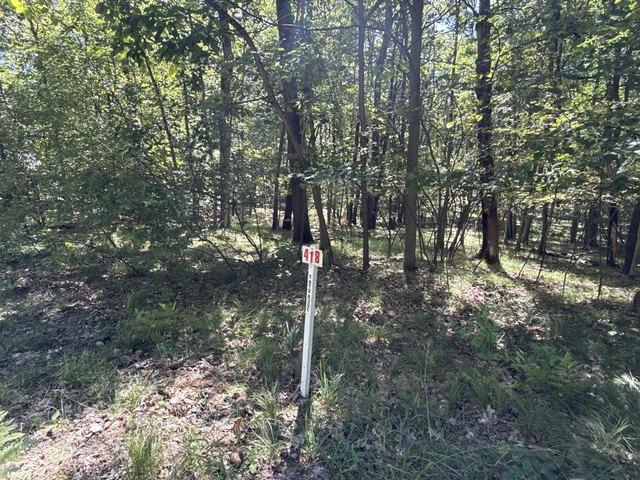 Land for sale in Stanwood, Michigan