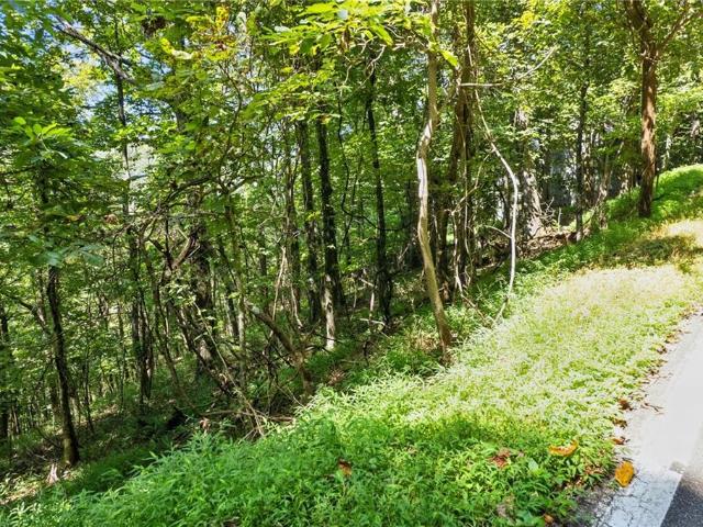 Land for sale in Big Canoe, Jasper