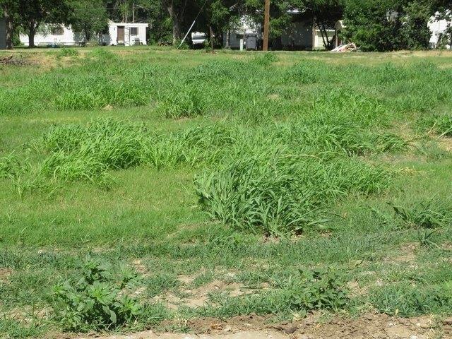 Land for sale in Kansas