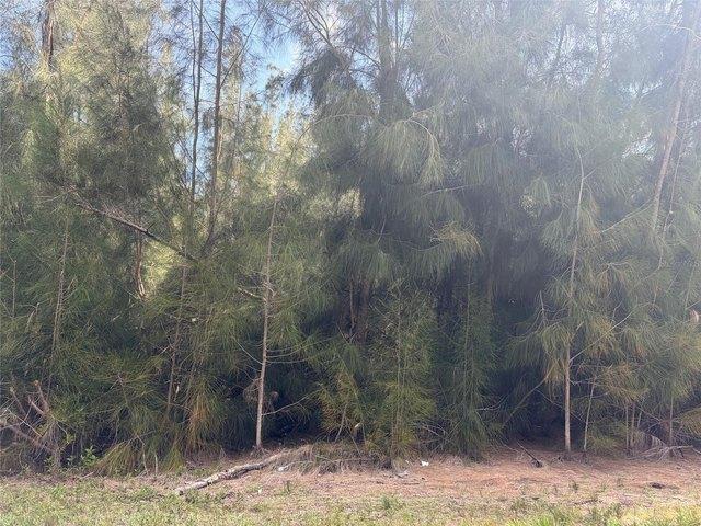 Land for sale in Punta Gorda, Florida