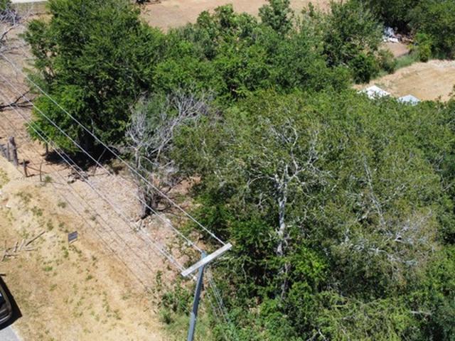 Land for sale in Floresville, Wilson County