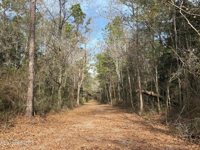 Land for sale in Gautier, Mississippi