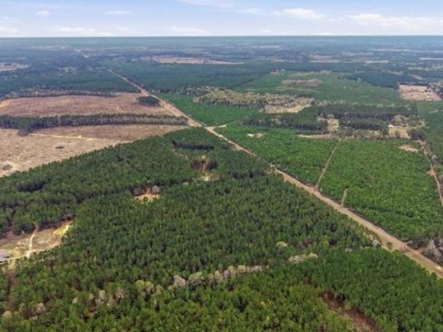 Land for sale in Polk, Texas