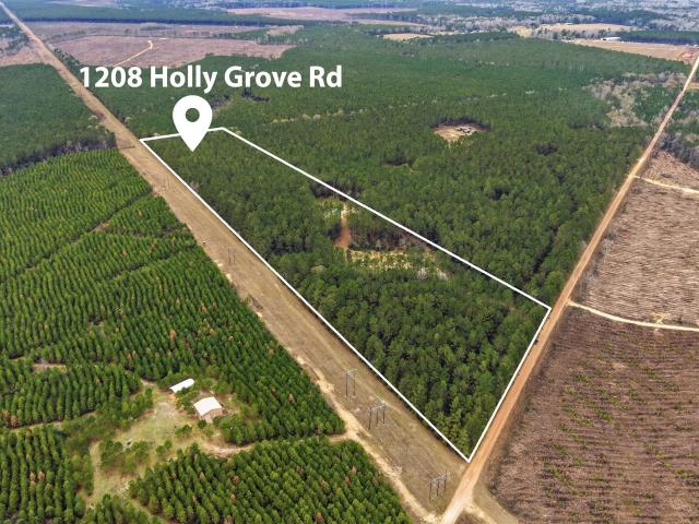 Land for sale in Polk, Texas