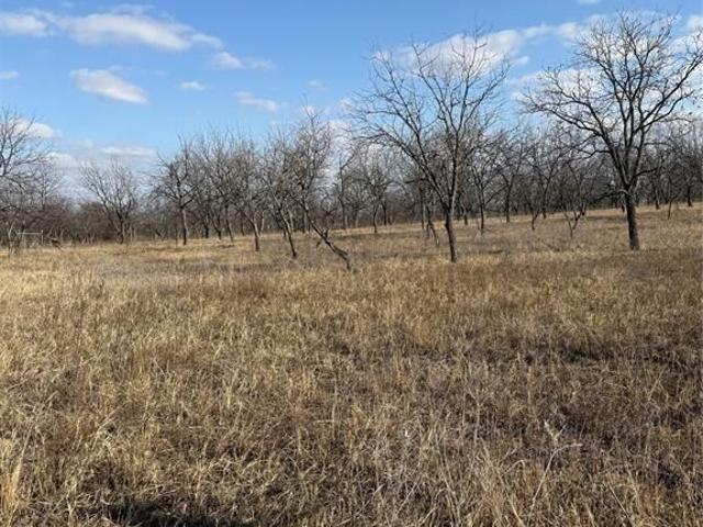 Property for sale in Comanche, Texas