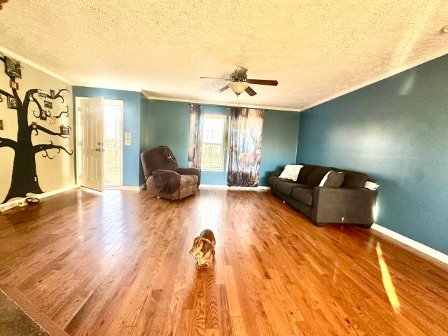 House for sale in Trenton, Georgia