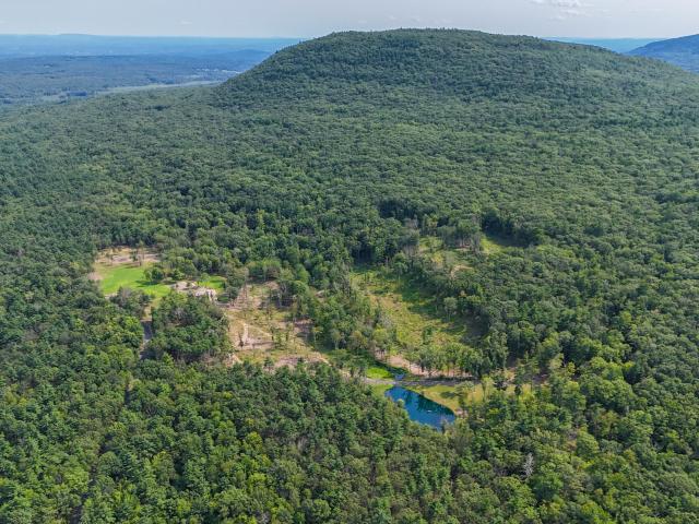Land for sale in Acra, New York