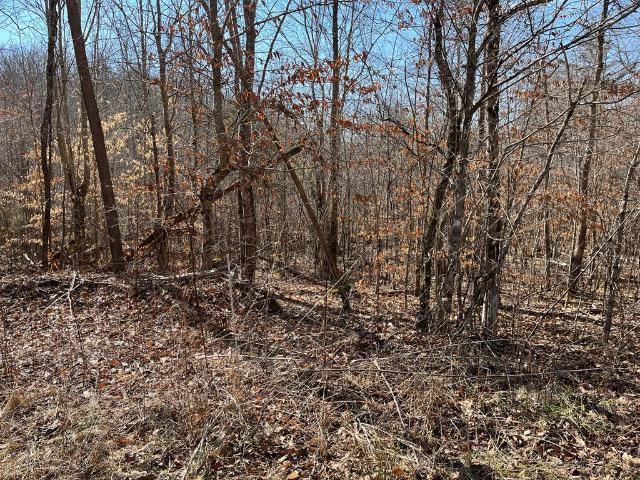 Land for sale in Tennessee