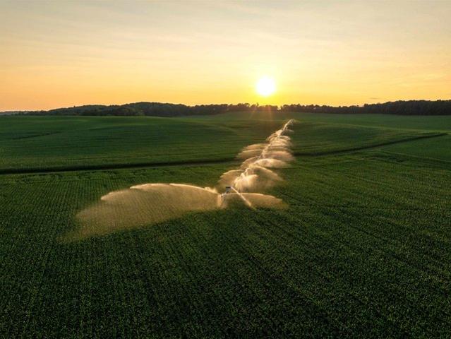 Farm for sale in Iola, Wisconsin