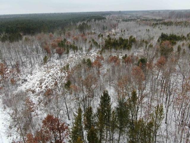 Land for sale in Juneau, Wisconsin