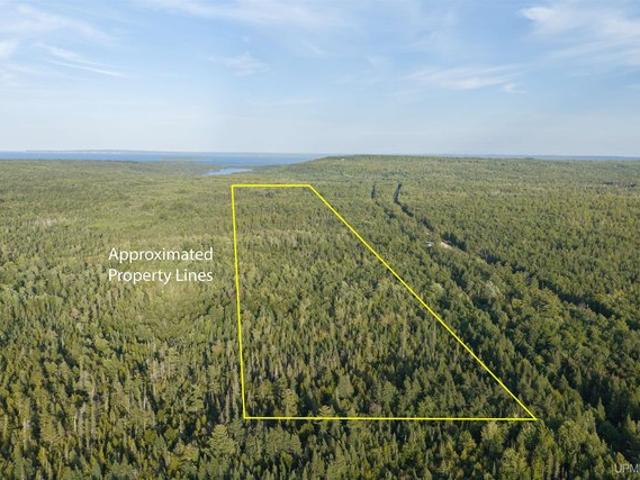 Land for sale in Deerton, Michigan