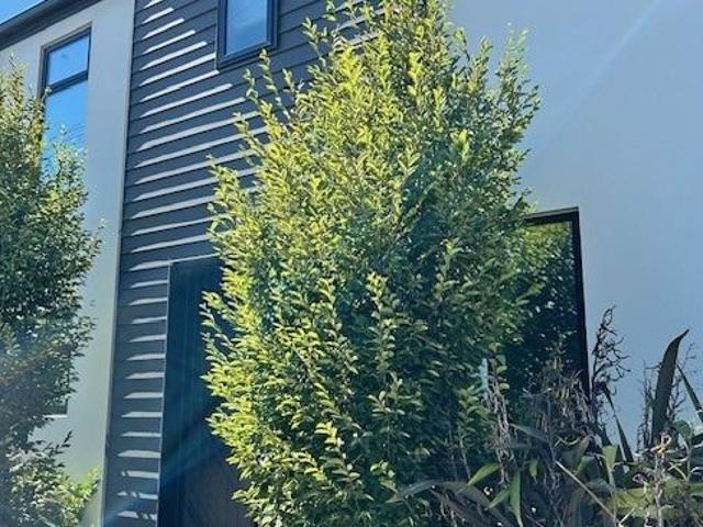 House for rent in Shirley, Coastal-Burwood Community