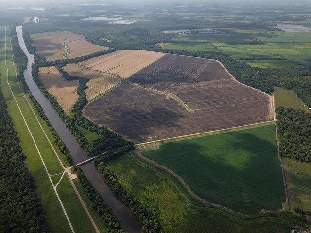 Land for sale in Arnaudville, Louisiana