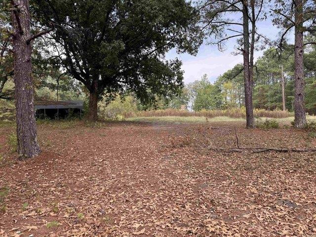 Land for sale in Bismarck, Hot Spring County