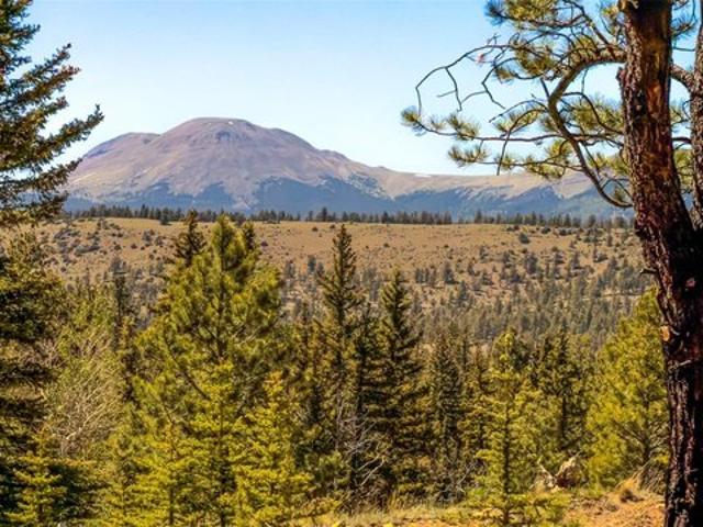 Land for sale in Chaffee, Colorado