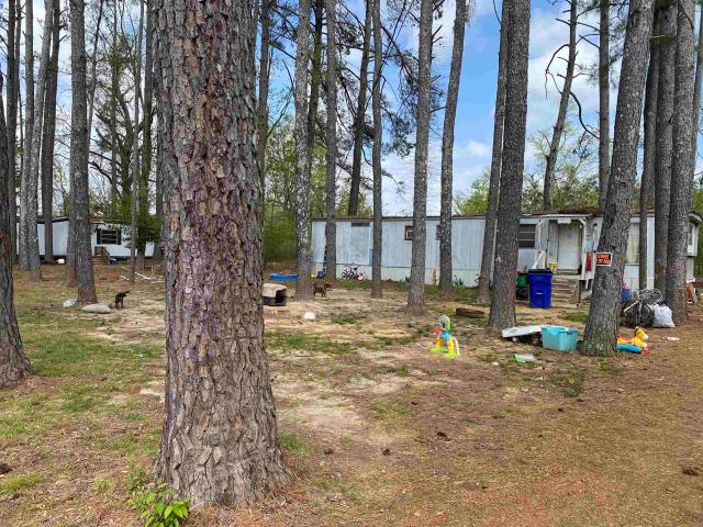 Land for sale in Savannah, West Tennessee