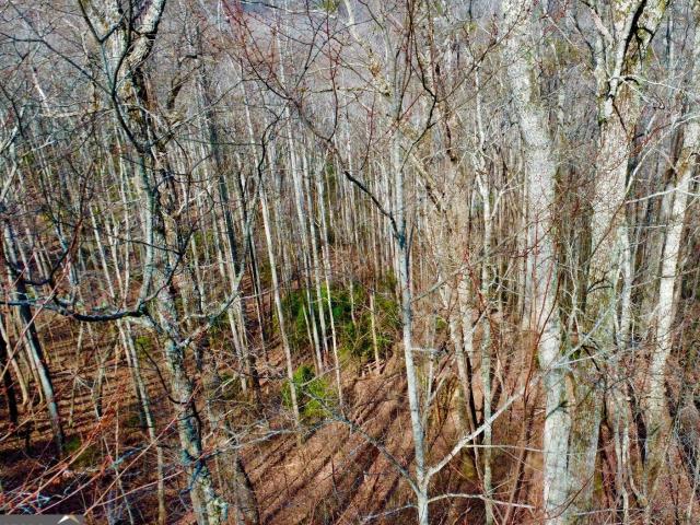 Land for sale in Blairsville, Georgia