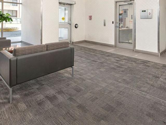 Apartment for rent in Cooksville, Mississauga