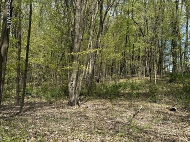 Land for sale in Connelly, New York