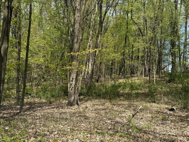 Land for sale in Connelly, New York