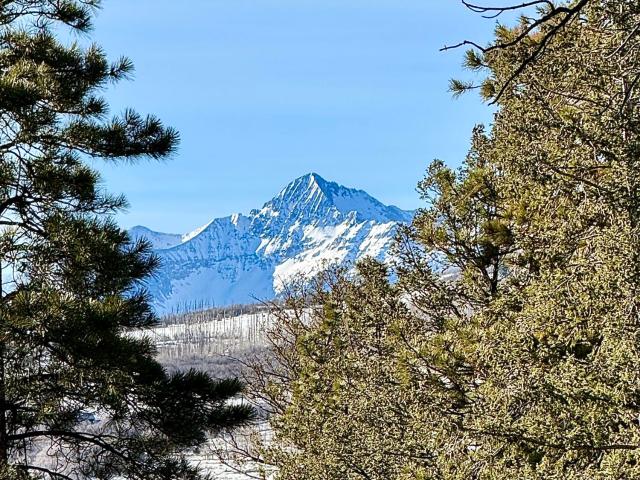 Land for sale in Placerville, Colorado