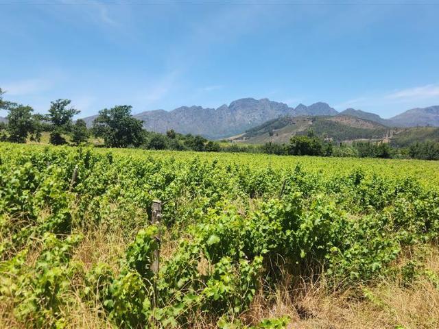 Farm for sale in Durbanville, Western Cape