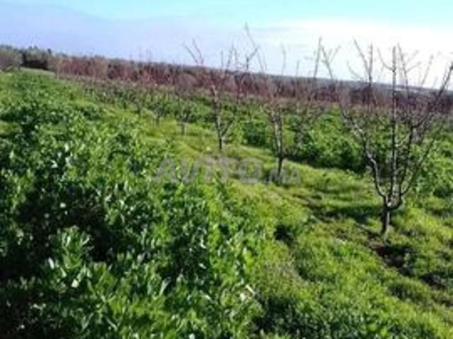 Propriété vente à Meknès