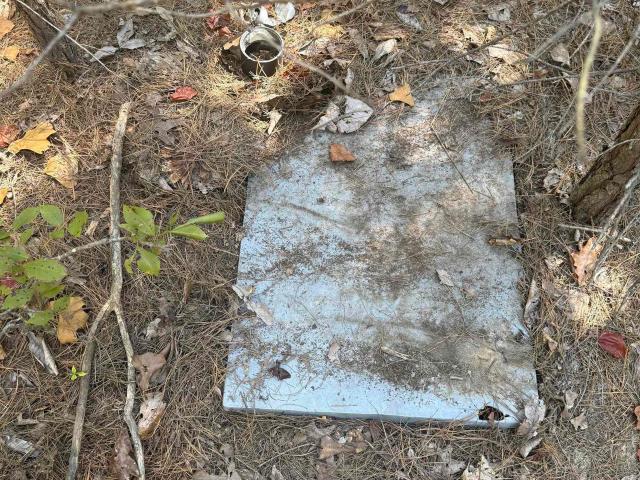 Land for sale in Rose Bud, White County