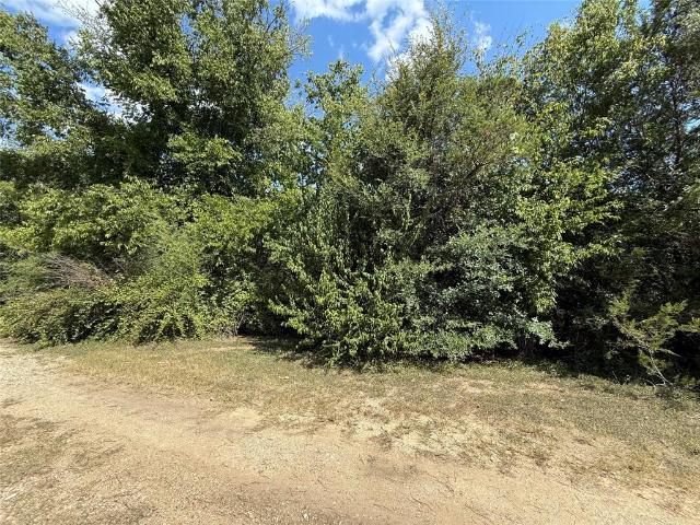 House for sale in Whitney, Texas