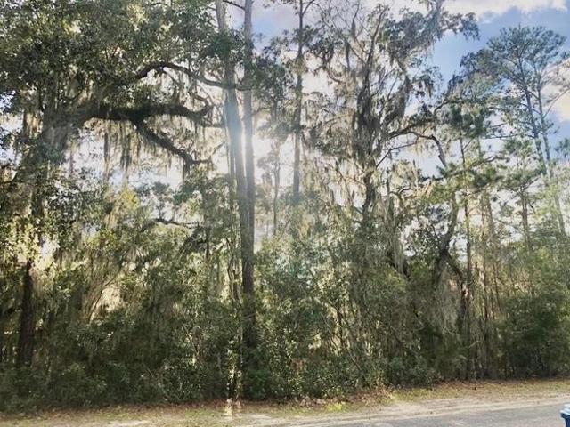 Land for sale in Glynn, Georgia