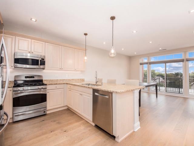 Condo for sale in Park Ridge, Illinois