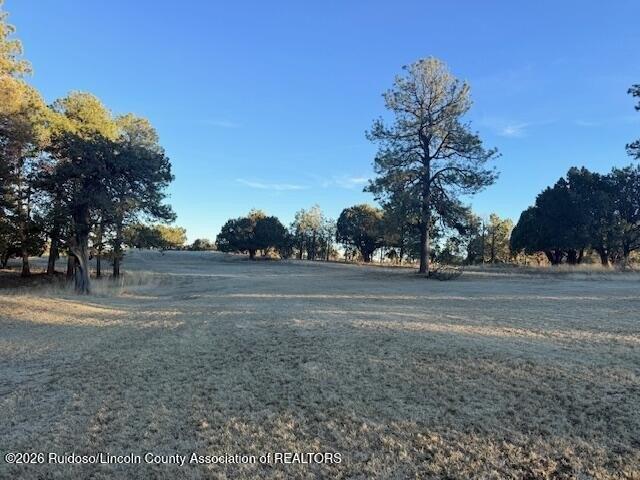 Land for sale in Timberon, New Mexico